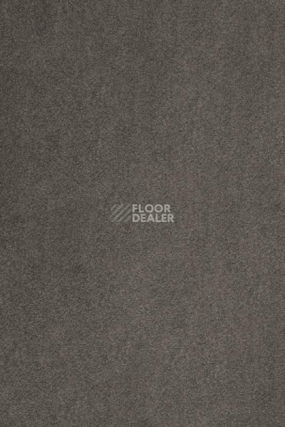 Ковролин AW Masquerade Kai 49 фото 1 | FLOORDEALER